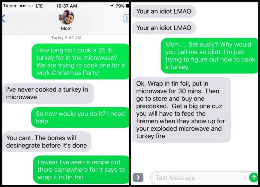 Guess who forgot to take the thermometer out when I checked on the turkey?  : r/facepalm