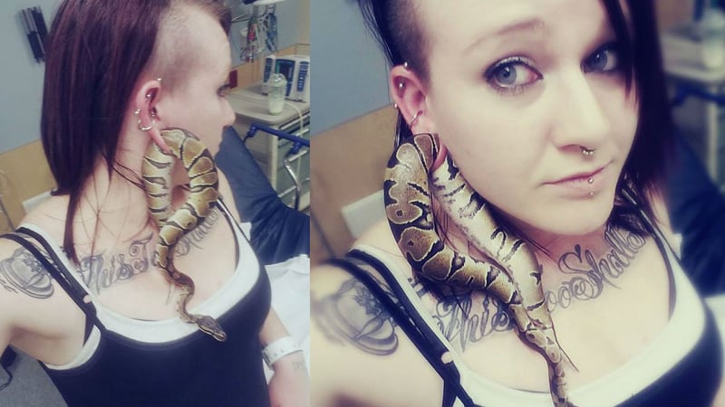 Portland Woman Gets Python Stuck In Ear Gauge Piercing Spokane North