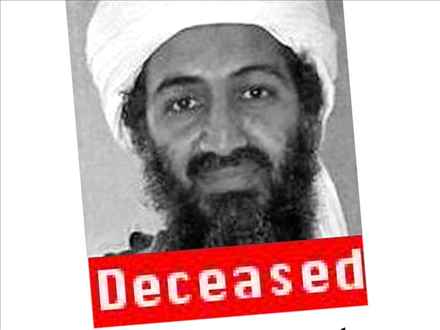 bin laden cds. a dead Osama in Laden is