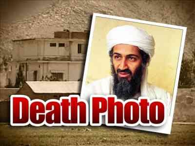 leader Osama in Laden not. leader Osama bin Laden#39;s