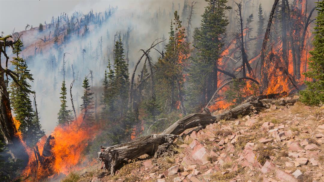 Crews hold Seeley Lake fire line ahead of redflag warning ABC FOX