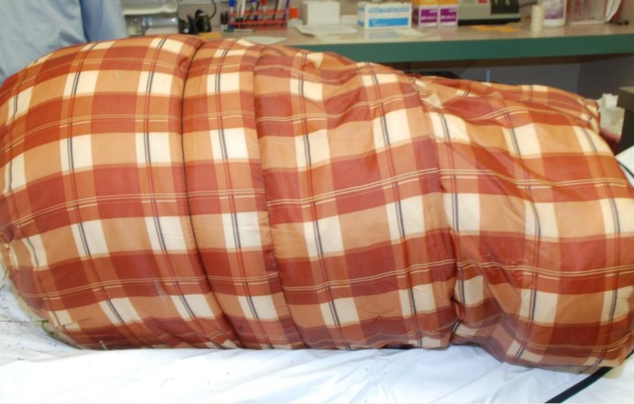 Spokane Police Detectives Need Your Help To Identify Sleeping Ba