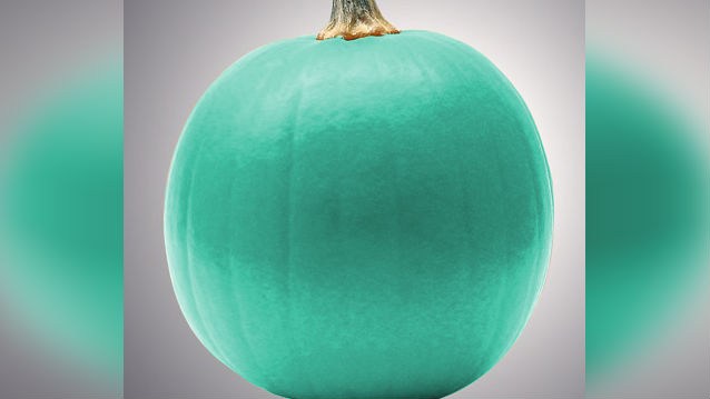 teal pumpkin meaning