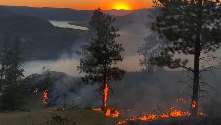 Rattlesnake fire burning near Lake Roosevelt now 2,600 acres; 40 ...