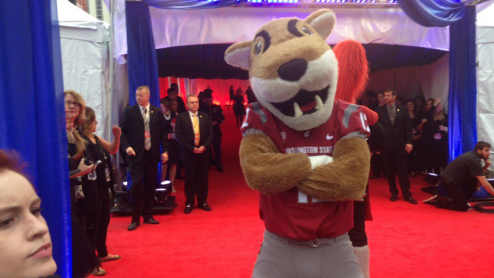 WSU Mascot Butch T. Cougar makes special appearance at CMA award ...